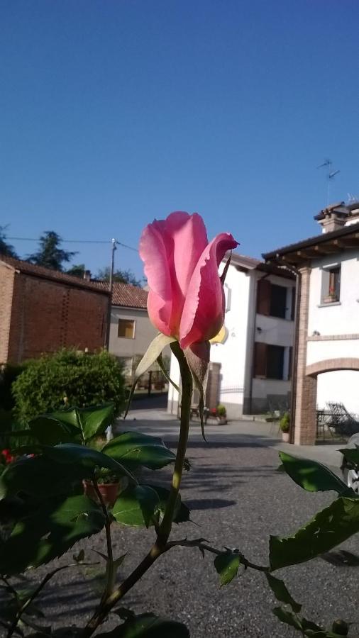 Bed and Breakfast Gli Acini Pietra dei Giorgi Exterior foto